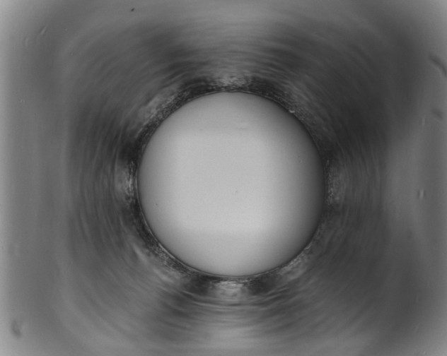 X0000101670176200807241449