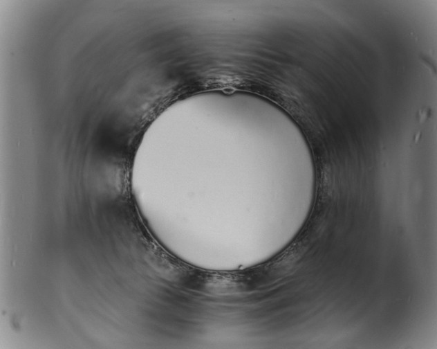 X0000101670177200807241449