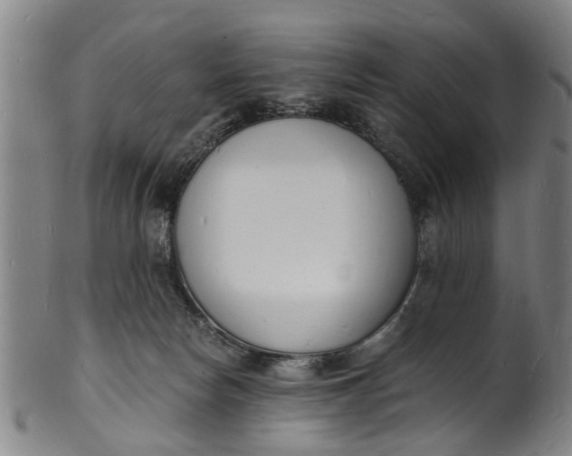 X0000101670178200807241449