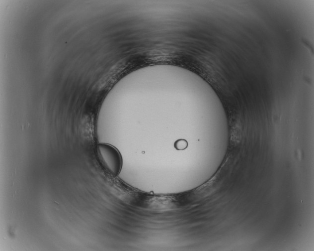 X0000101670179200807241449