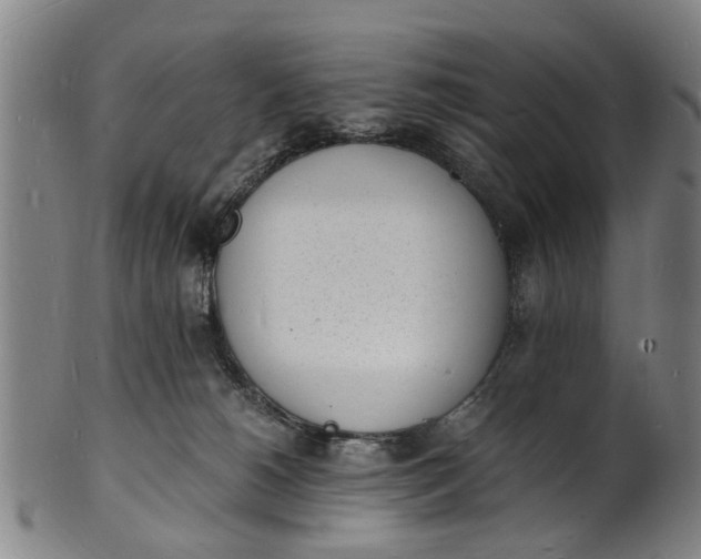 X0000101670180200807241449