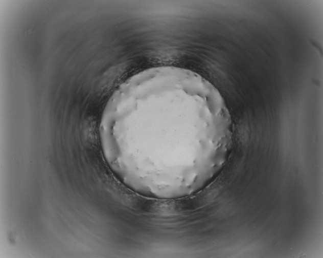 X0000101670181200807241449
