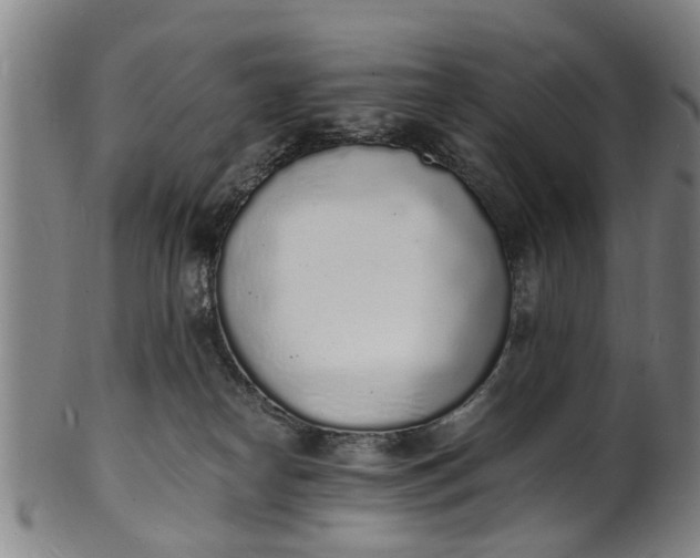 X0000101670182200807241449