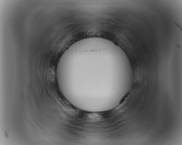 X0000101670183200807241449