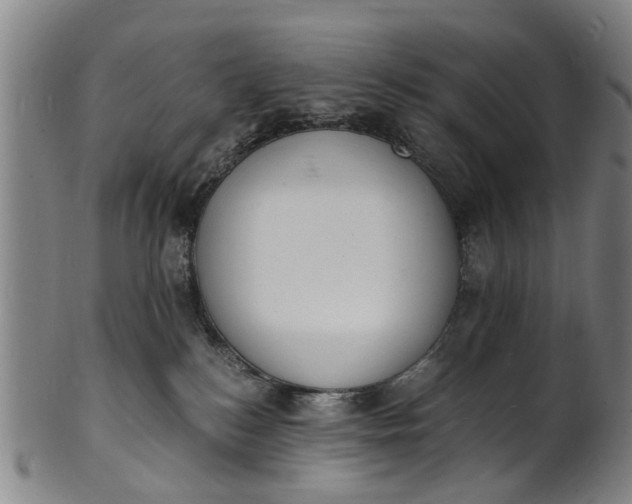 X0000101670184200807241449