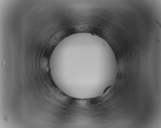 X0000101670187200807241449