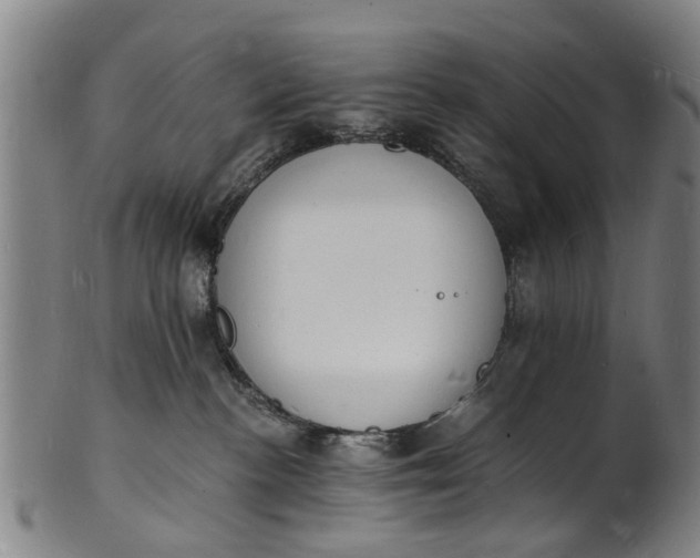 X0000101670188200807241449