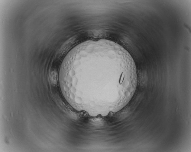X0000101670189200807241449