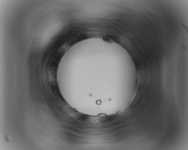 X0000101670190200807241449