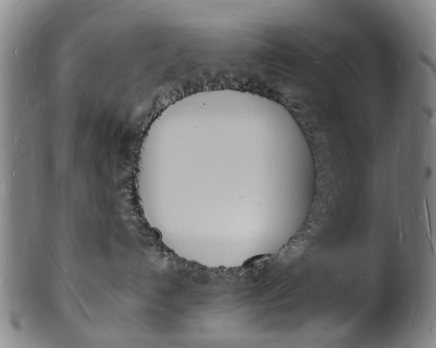 X0000101670192200807241449