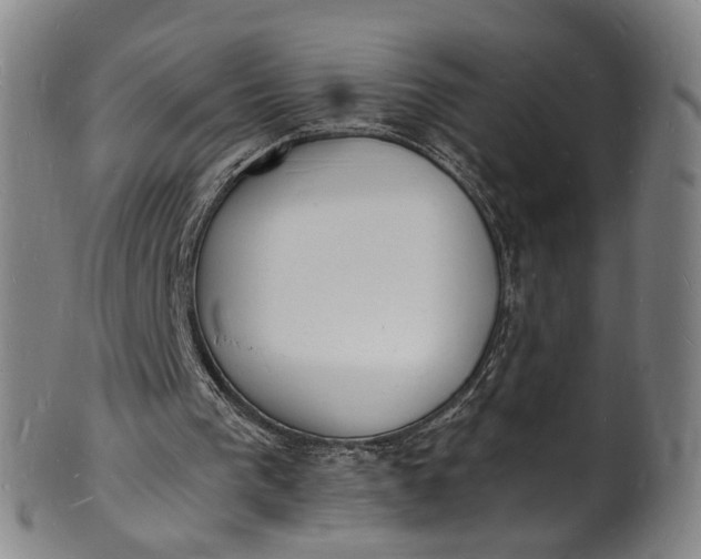 X0000101670193200807241448