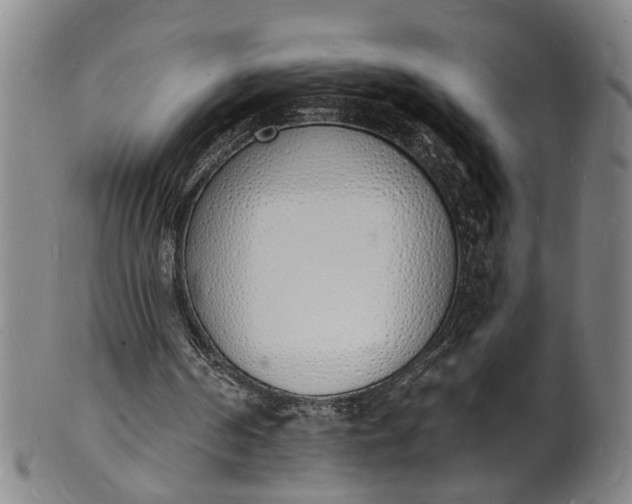 X0000101670194200807241448