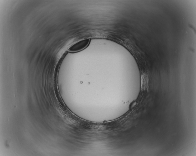 X0000101670195200807241448