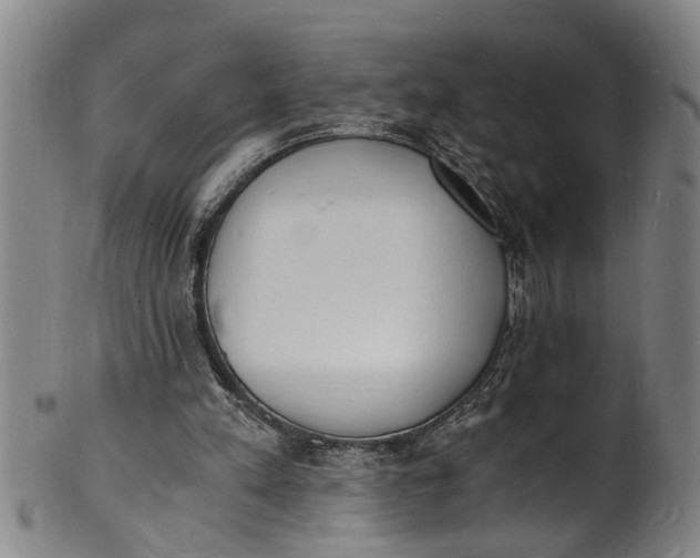 X0000101670197200807241448