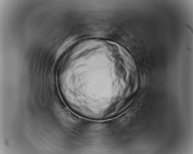 X0000101670198200807241448