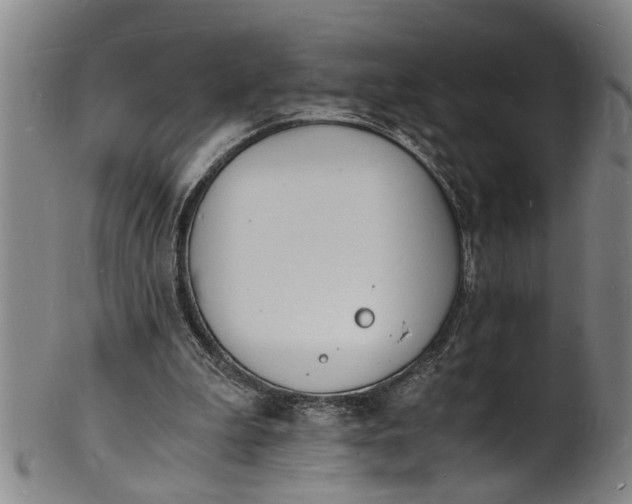X0000101670199200807241448
