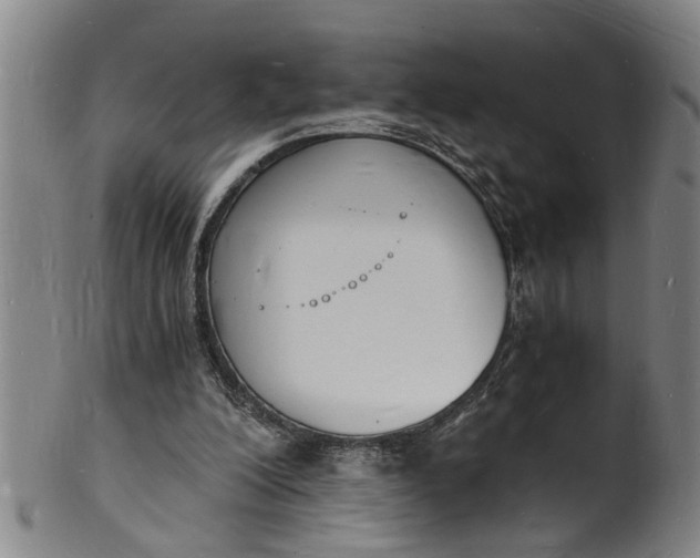 X0000101670200200807241448