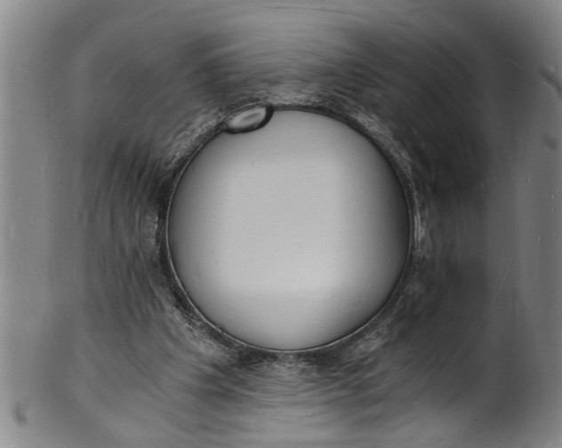 X0000101670201200807241448