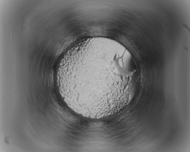 X0000101670202200807241448