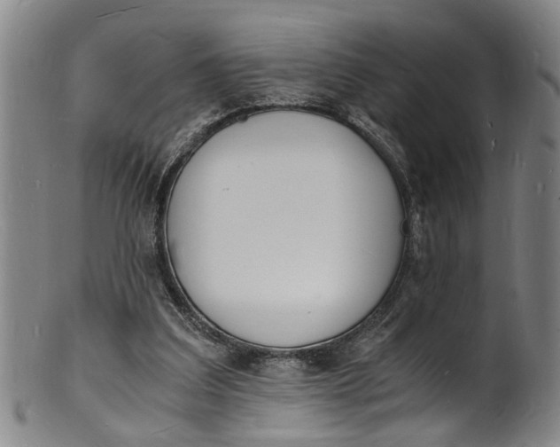 X0000101670203200807241448