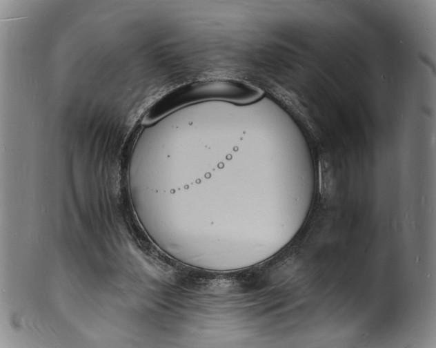X0000101670204200807241448