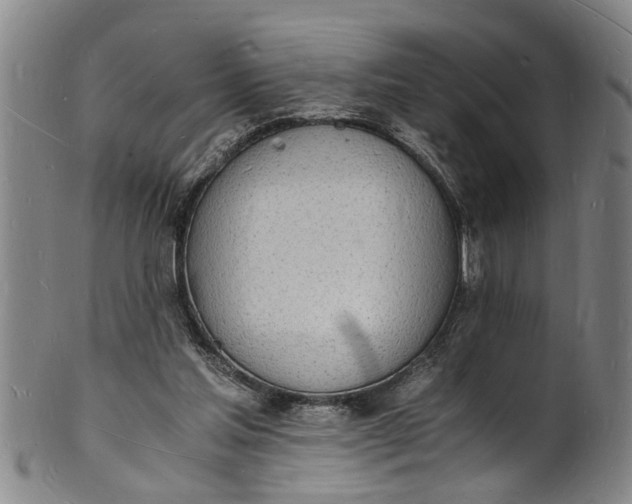 X0000101670205200807241448