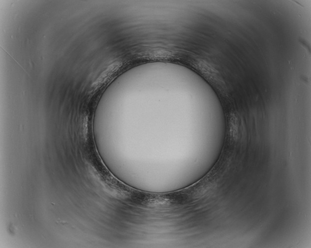 X0000101670206200807241448