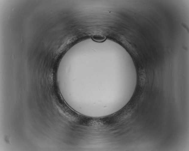 X0000101670207200807241448