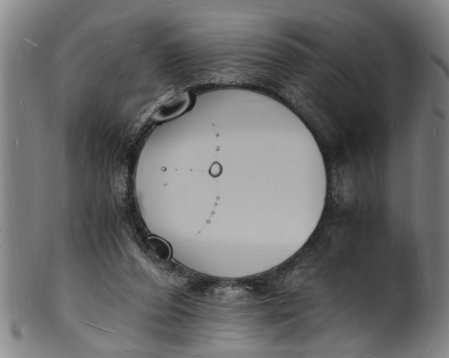 X0000101670208200807241448