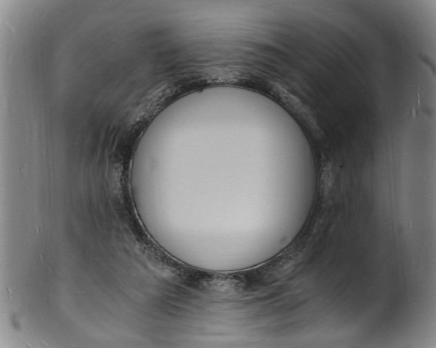 X0000101670209200807241448