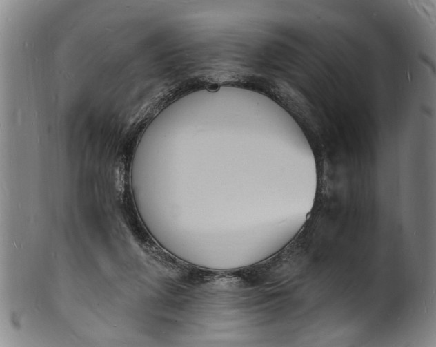 X0000101670210200807241448