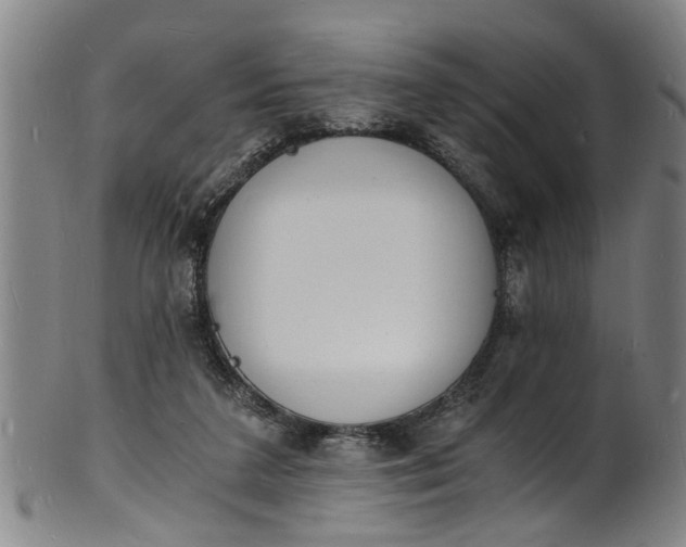 X0000101670211200807241448