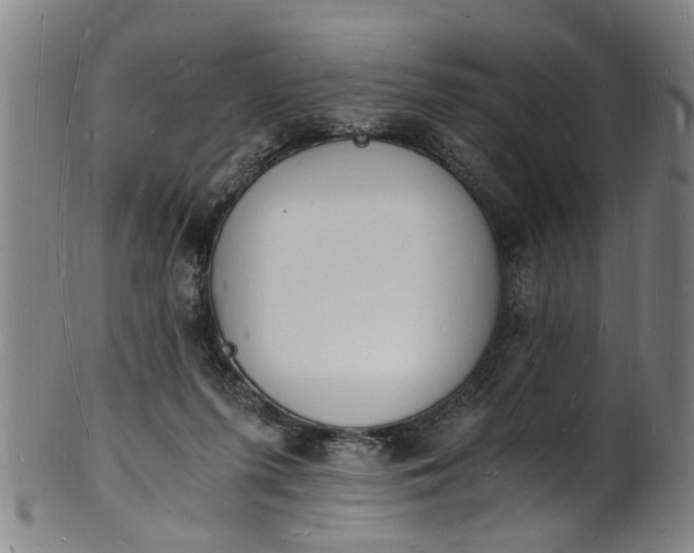 X0000101670215200807241448