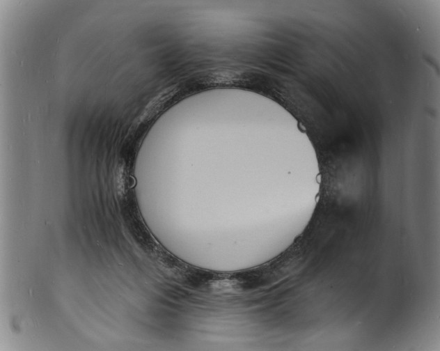 X0000101670216200807241448