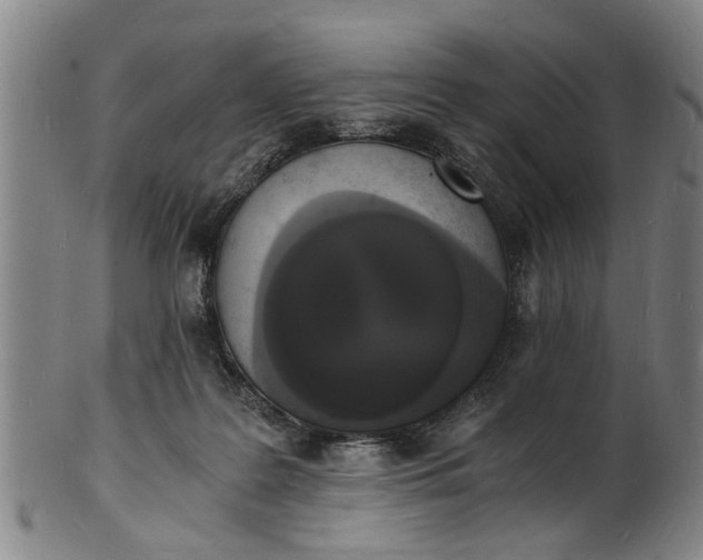 X0000101670219200807241448