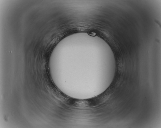 X0000101670221200807241448
