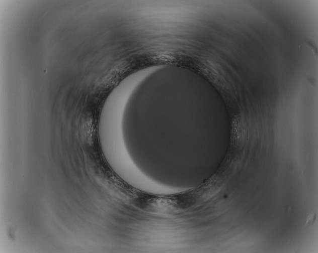 X0000101670223200807241448