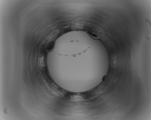 X0000101670224200807241448