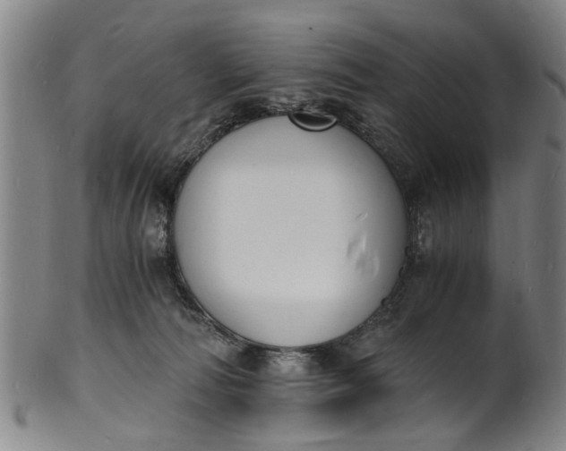 X0000101670226200807241448