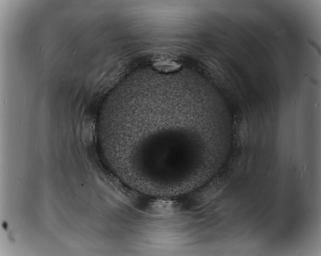 X0000101670227200807241448