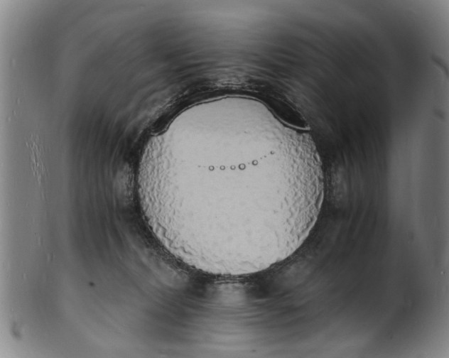 X0000101670228200807241448