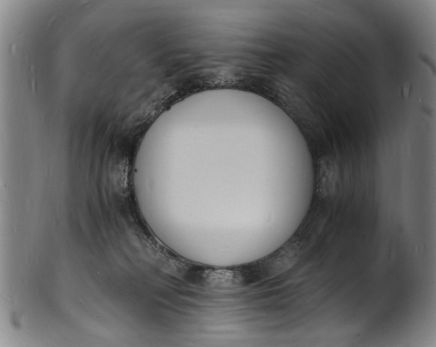 X0000101670230200807241448