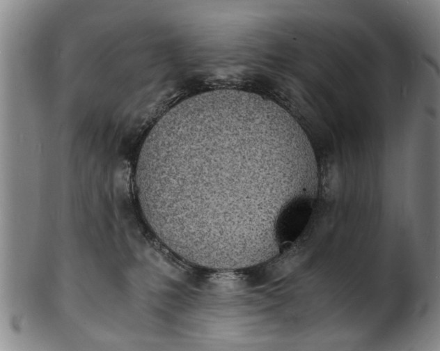 X0000101670231200807241448