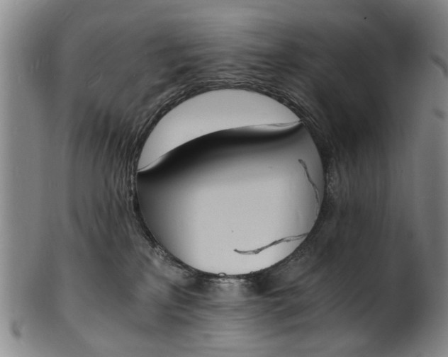 X0000101670233200807241448