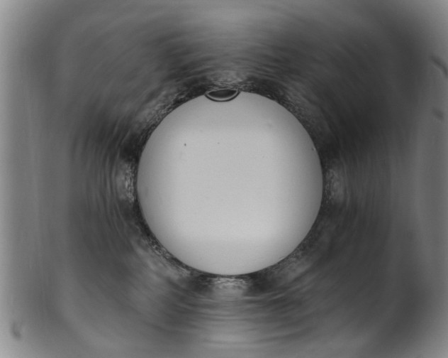 X0000101670234200807241448
