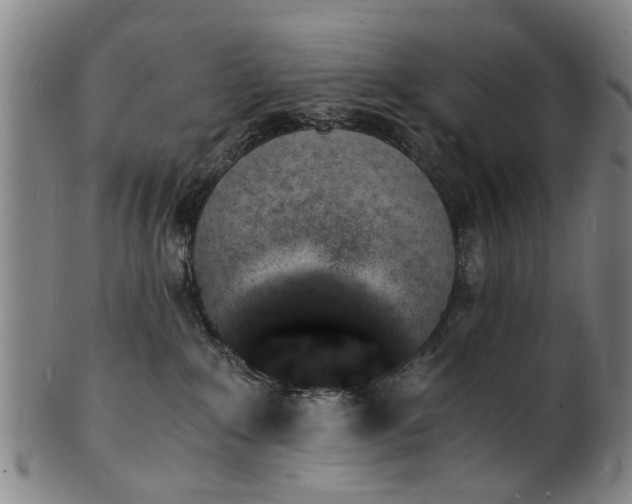 X0000101670235200807241448