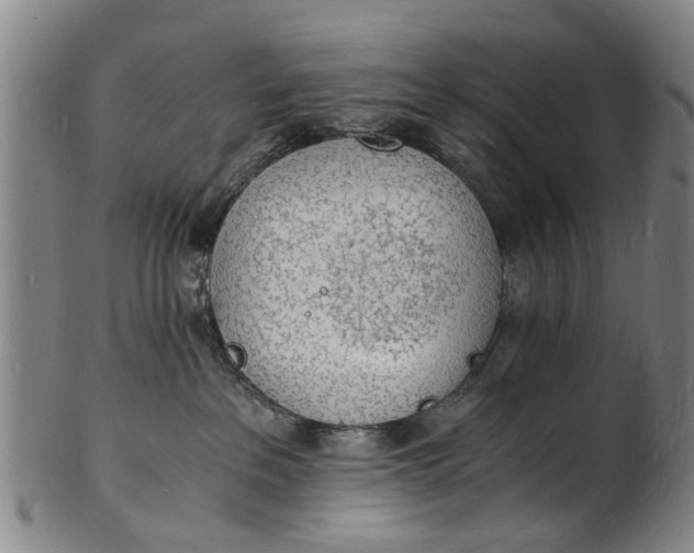 X0000101670237200807241448