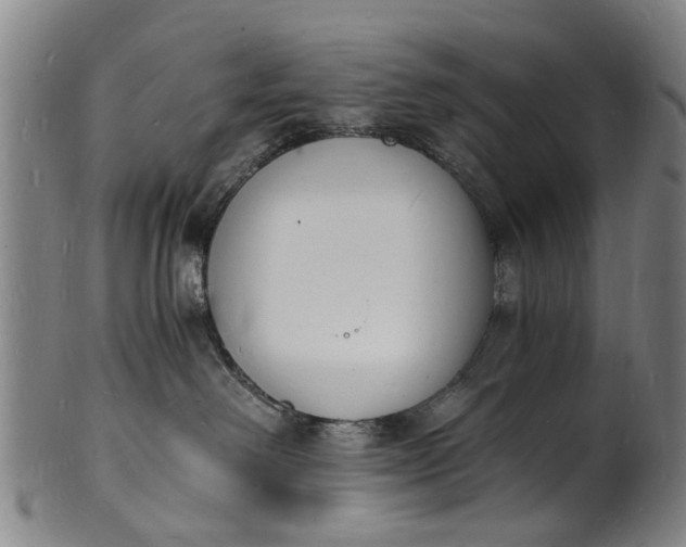 X0000101670238200807241448
