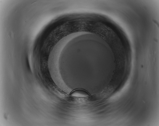 X0000101670239200807241448