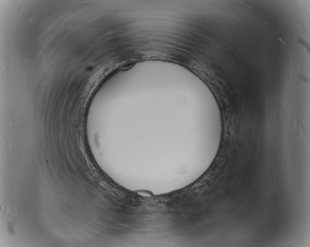 X0000101670241200807241447